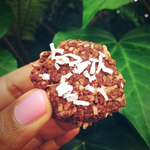 Wellness Temple - Raw Coconut Macaroons